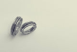 Ivy Spinning Ring-ZOCALO.JAPAN