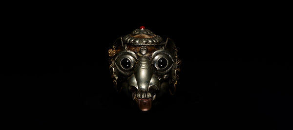 Tibetan Monkey Skull – ZOCALO sacred relic symbolizing rebirth and mindfulness